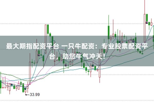 最大期指配资平台 一只牛配资：专业股票配资平台，助您牛气冲天！