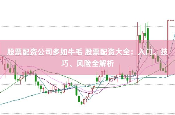 股票配资公司多如牛毛 股票配资大全：入门、技巧、风险全解析