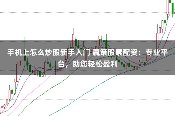 手机上怎么炒股新手入门 赢策股票配资：专业平台，助您轻松盈利
