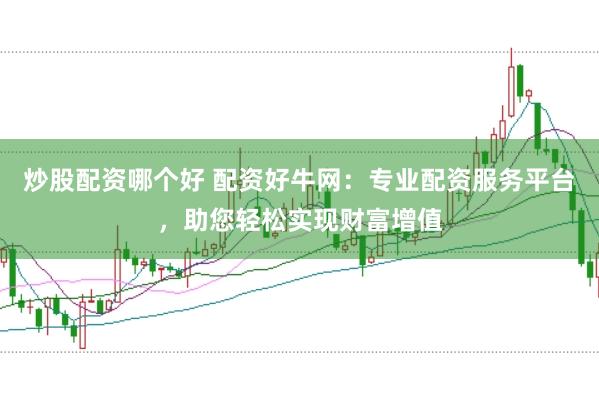 炒股配资哪个好 配资好牛网：专业配资服务平台，助您轻松实现财富增值