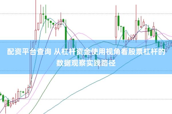 配资平台查询 从杠杆资金使用视角看股票杠杆的数据观察实践路径