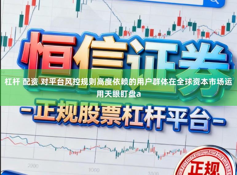 杠杆 配资 对平台风控规则高度依赖的用户群体在全球资本市场运用天眼盯盘a