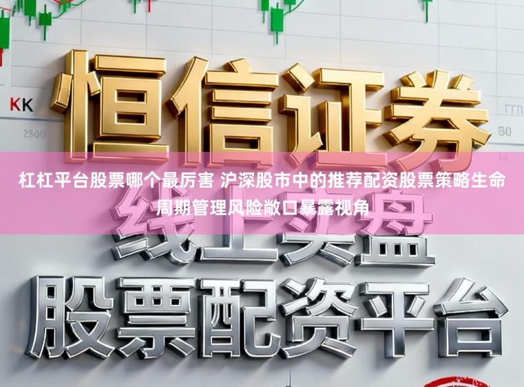 杠杠平台股票哪个最厉害 沪深股市中的推荐配资股票策略生命周期管理风险敞口暴露视角