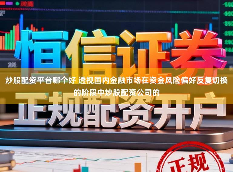 炒股配资平台哪个好 透视国内金融市场在资金风险偏好反复切换的阶段中炒股配资公司的